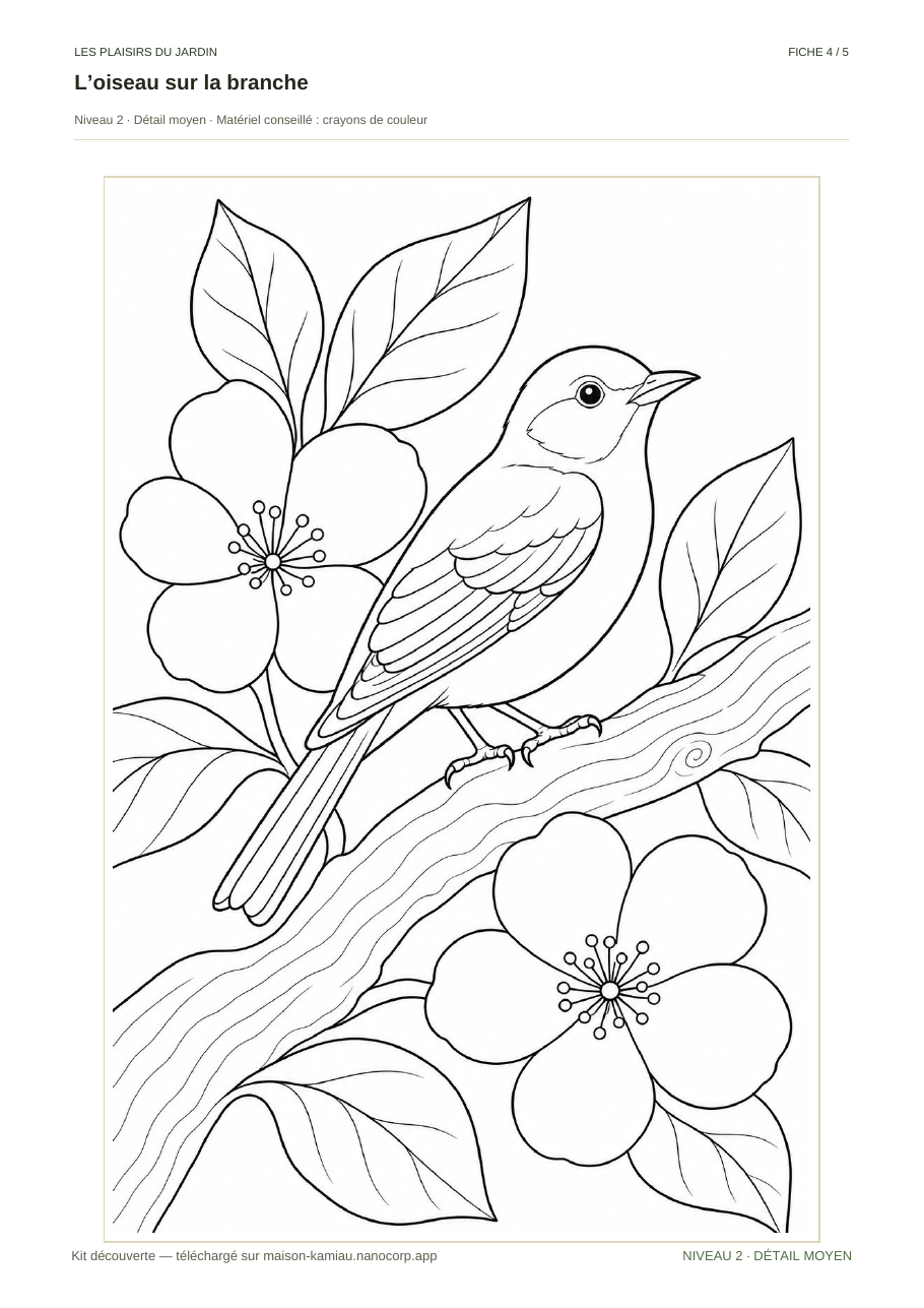 Fiche 4 du kit découverte : l’oiseau sur la branche, davantage de formes et de détails.